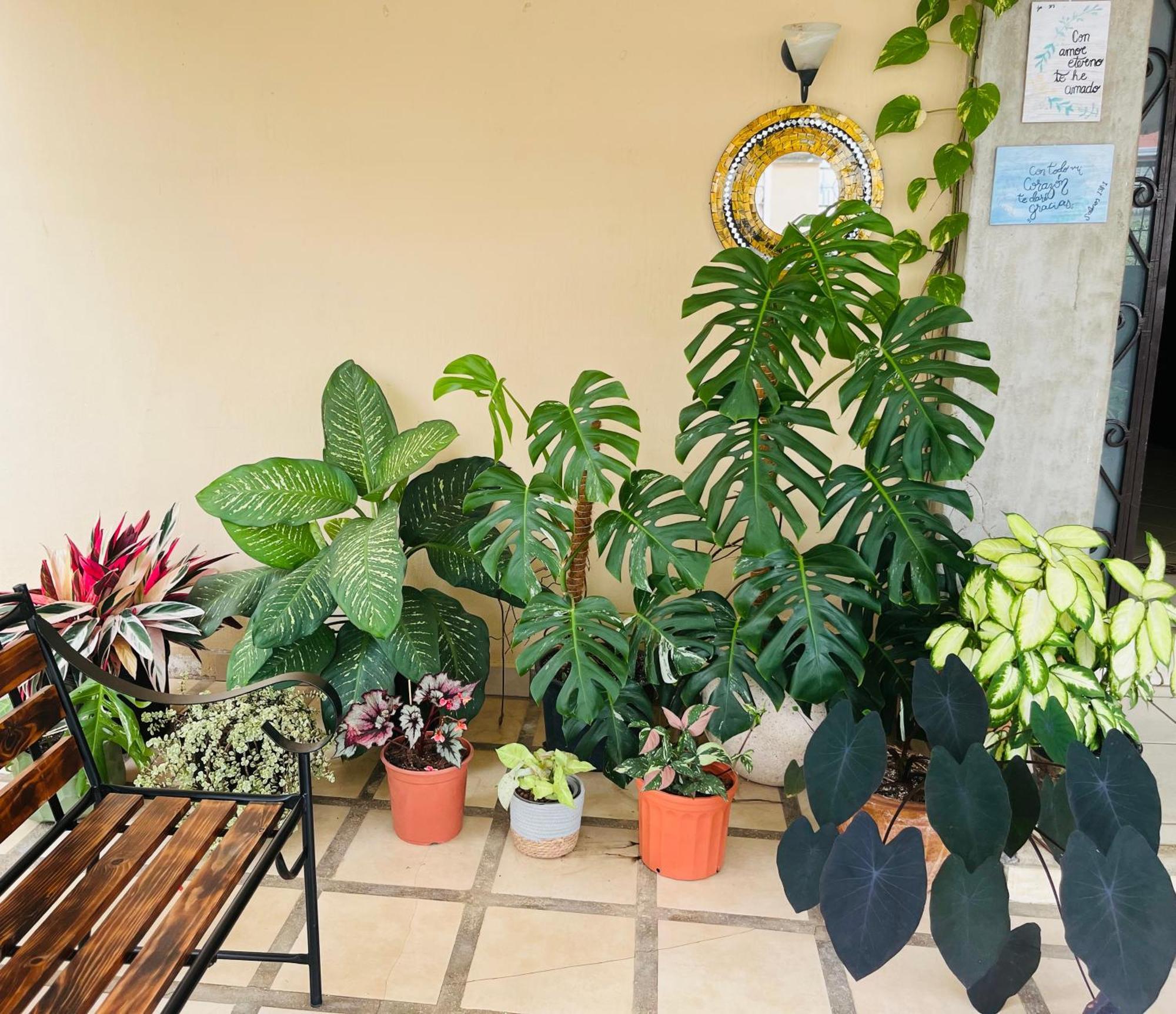 Ester'S Place Escazu ภายนอก รูปภาพ